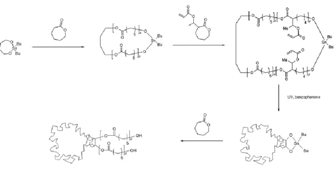 Figure  27  |  Synthesis  of  a  tadpole-shaped  polymer.  Reprinted  with  permission  from  [112]