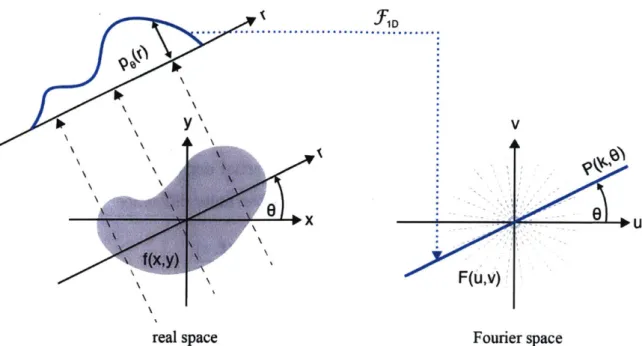 Figure  2-4:  Diagram  illustrating  Fourier  slice  theorem,  which  describes  the  relation- relation-ship  between  an  object's projection  in  real space  and  its  Fourier  transform