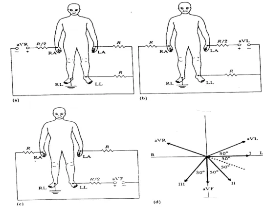 Fig. I.9.  Dérivations précordiales. 