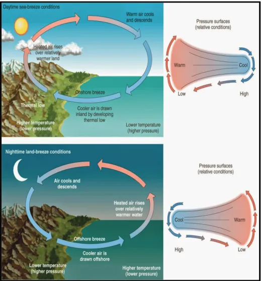 Figure 1-7: Schematic of sea breeze and land breeze, taken from Nullet (2016)  In a similar behaviour  to land and sea breezes, mountains and surrounding valleys also  have breezes called mountain and valley breezes (Figure 1-8)