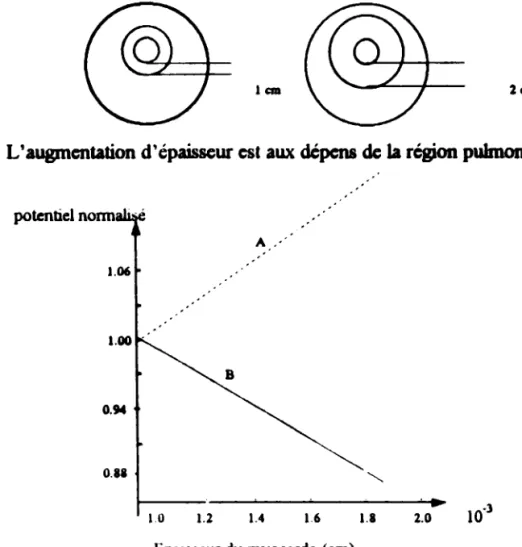 Fig 111-30- L'effet de l'épaisseur du mur ventriculaire sur les potentiels de surface (A) et épicardique (B)
