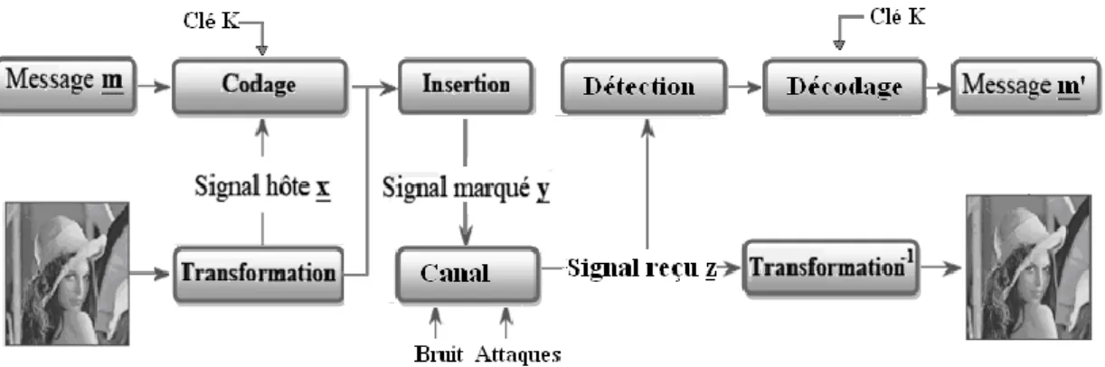 Figure 3.3  Schéma générique du marquage numérique  