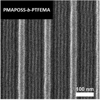 Figure 6. Top-down SEM image of aligned PMAPOSS-b-PTFEMA features using graphoepitaxy  guiding stripes with an L 0  = 15 nm