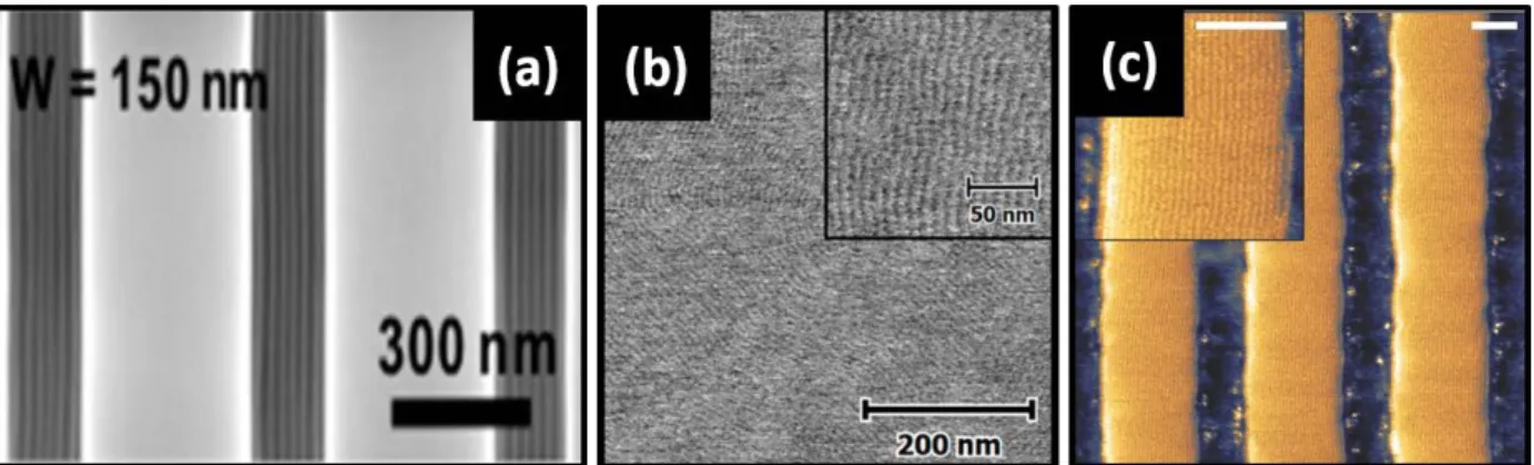 Figure 7. Examples beyond linear di-BCPs (a) Top-down SEM image of well-aligned PS-branch- PS-branch-PDMS bBCP features in trenches of 100 nm depth and width of 150 nm  showing out-of-plane  PDMS cylinders with L 0   ~ 20 nm