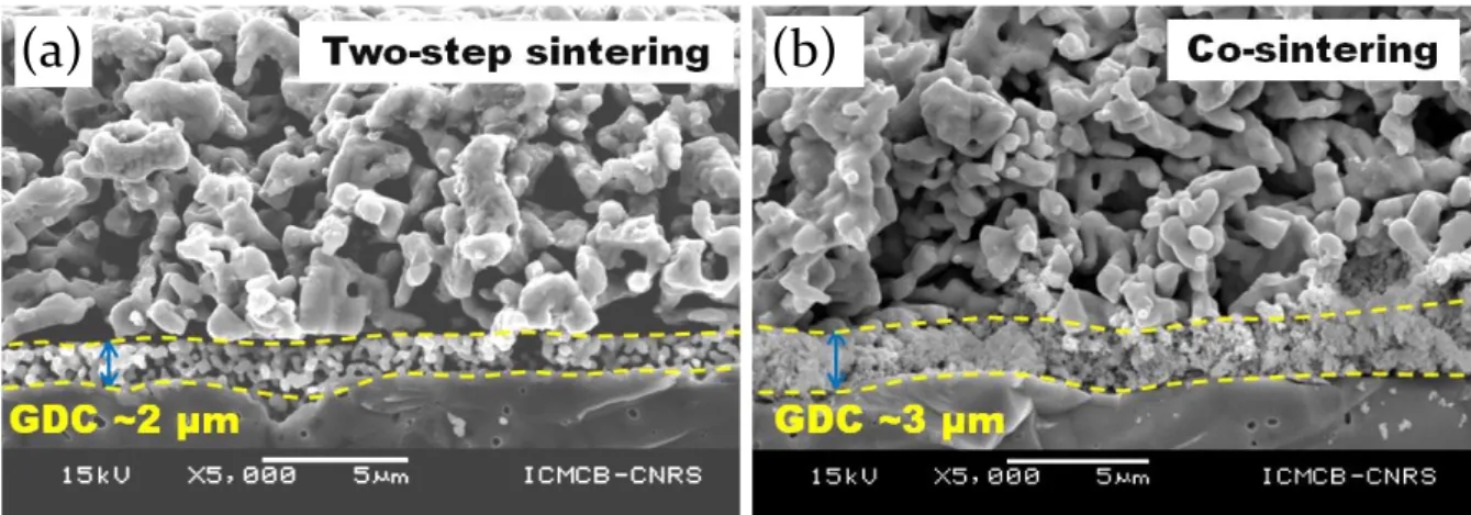 Fig. 7.  SEM morphology of half cells after EIS measurements (a) two-step sintering and  (b) co-sintering