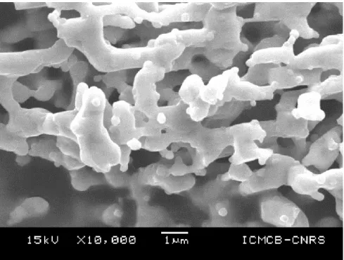 Fig. S4. Morphology of as-prepared powder after synthesis by GNP. 