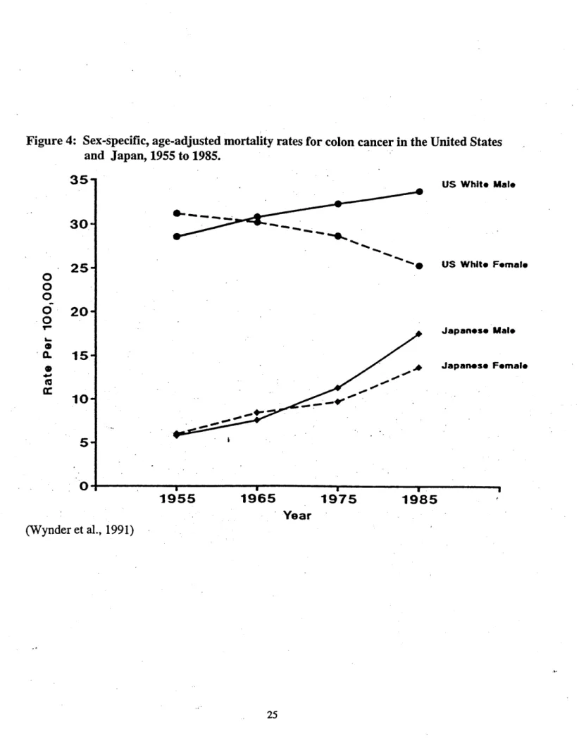 Figure  4:  Sex-specific,  age-adjusted  mortality rates for colon cancer in the and  Japan,  1955  to 1985