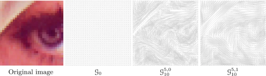 Fig. 1. Examples of directed graphs for an image. From left to right: original image, a symmetric 8-grid graph, 10-nearest neighbor graphs (inside a 11 × 11 window with color-based or 3 × 3 patch-based distances).