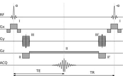 Figure 1.4: Chronogramme de la séquence d'impulsion TrueFisp. Des impulsions RF ( α ) et des impulsions de gradient (I, II et III) sont équivalentes aux impulsions de la séquence FLASH et remplissent la même fonction