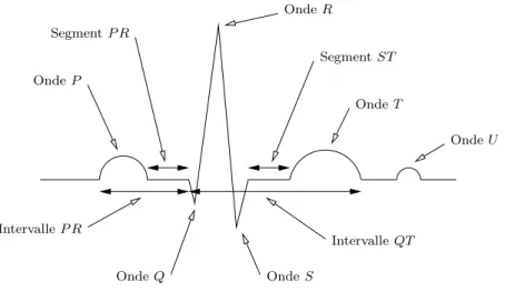 Fig. 1.11 – Ondes, intervalles et segments dans l’ECG pour un battement physiologique.