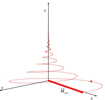 Figure 1.4: Trajectory performed by the bulk magnetization after having tipped toward the x-y plane
