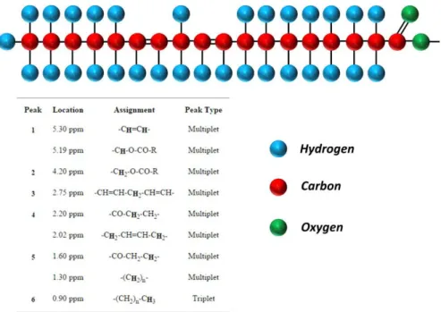 Figure 1.12: (Top) Structure of the triglyceride molecule, composed by carbon, oxygen and hydrogen