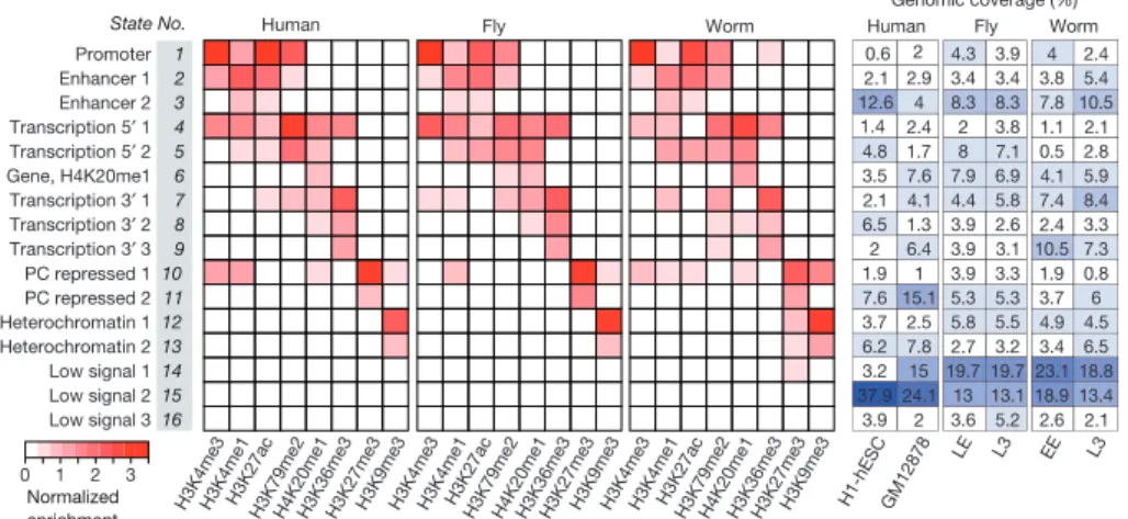 Figure 3 | Genome-wide organization of heterochromatin. a, Enrichment profiles of H3K9me1, H3K9me2, H3K9me3 and H3K27me3, and identification of heterochromatin domains based on H3K9me3 (illustrated for human H1-hESC, fly L3 and worm L3)