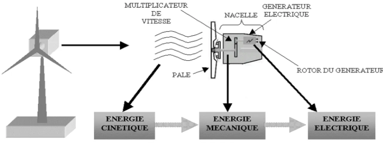 Figure 1.1 Conversion de l'énergie cinétique du vent [3] 