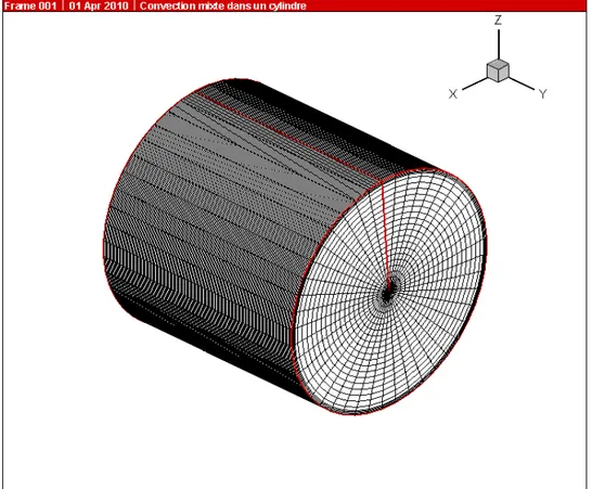 Figure 3.1 (a) Le maillage du domaine physique en 3D.