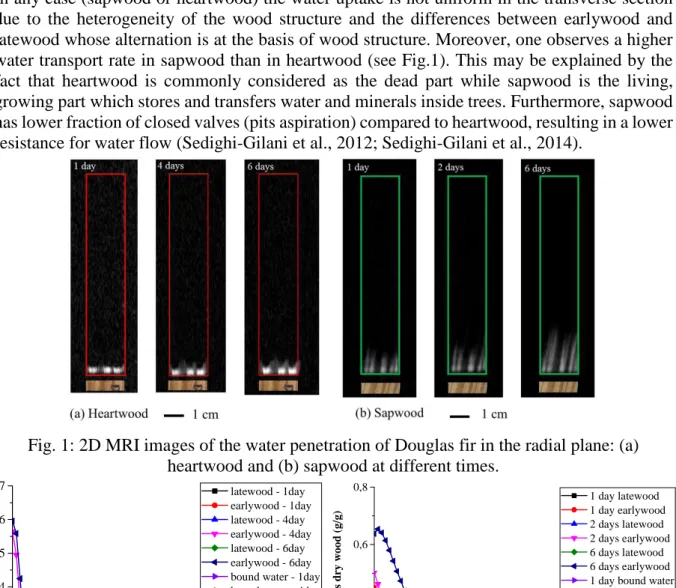Fig. 1: 2D MRI images of the water penetration of Douglas fir in the radial plane: (a)  heartwood and (b) sapwood at different times