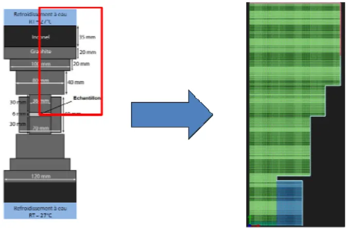 Fig. 3. Maillage utilisé dans le modèle  