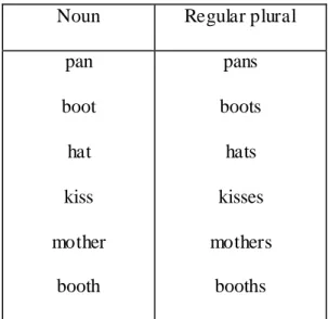 Table 02: The plural of nouns in the implications.  