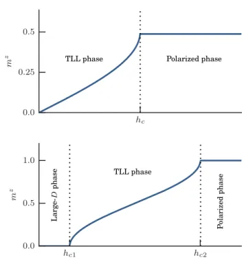 FIG. 1. (color online) (i) Upper panel : magnetization curve of the XXZ Hamiltonian (2.1) as a function of the magnetic field for ∆ ∈ (−1, 1]