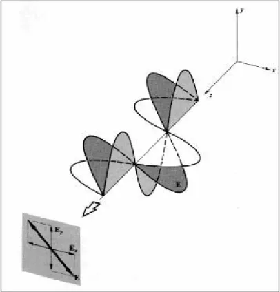 Figure I.2 : La polarisation linéaire [41].