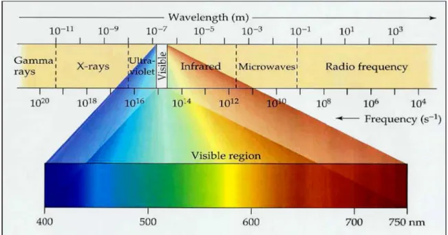 Figure I.3 : Le spectre électromagnétique [43]. 