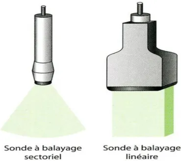 Figure 1.5 – Les sondes à balayage sectoriel et balayage linéaire.