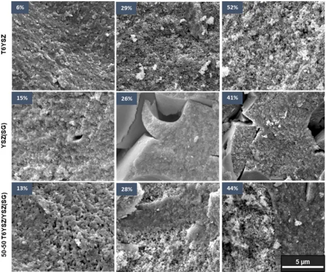 Fig. 6. SEM-FEG microstructure of the different powders for low, medium and high level of porosity at a high magnification.