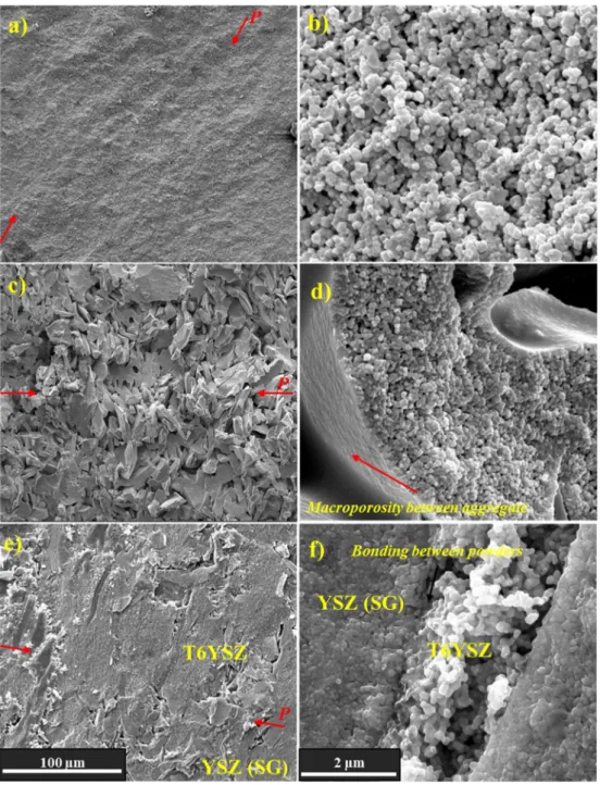 Fig. 8 presents the evolution of the Young modulus measured by