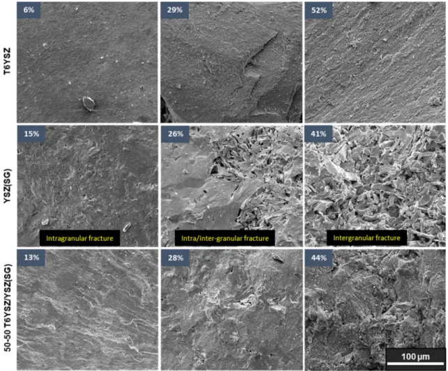 Fig. 5. SEM-FEG microstructure of the different powders for low, medium and high level of porosity at a low magnification.