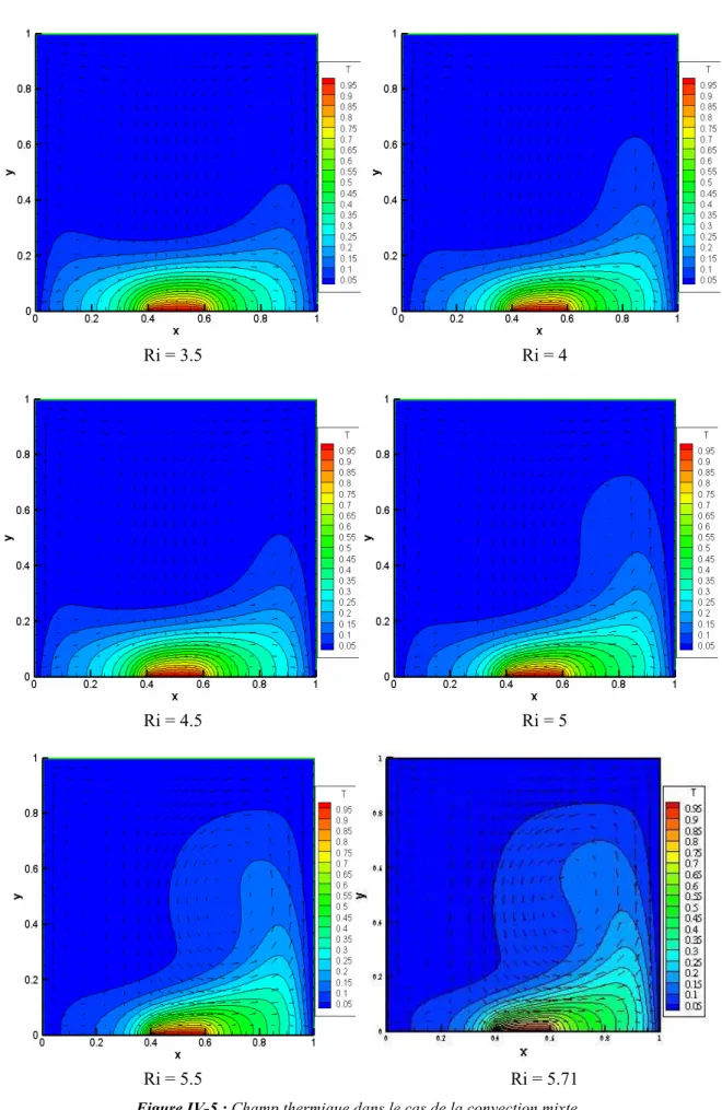 Figure IV-5 : Champ thermique dans le cas de la convection mixte. 