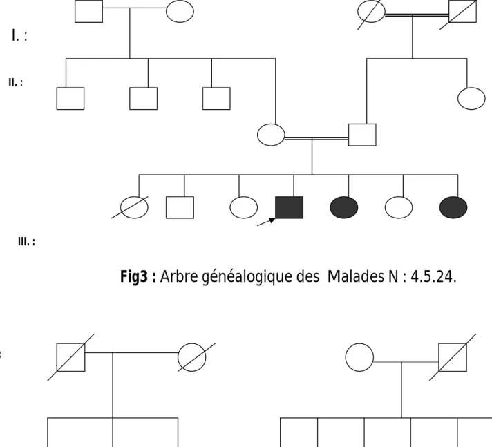 Fig3 : Arbre généalogique des  Malades N : 4.5.24. 