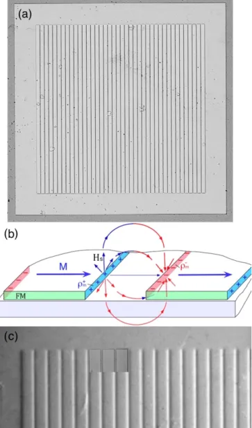 FIG. 1. (a) Optical picture of 2 × 2 mm Nb square with Py strips in the middle. (b) Schematic of magnetic charges along the long edges of transversely polarized Py strips