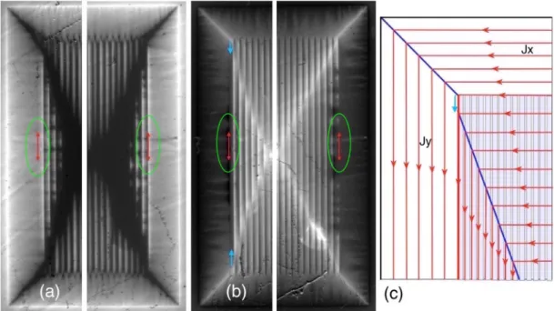 FIG. 3. Left-right asymmetry of the vortex patterns for transversely polarized Py strips