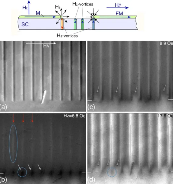 FIG. 4. Expanded view of the normal flux entry at small H z near bottom ends of the strips