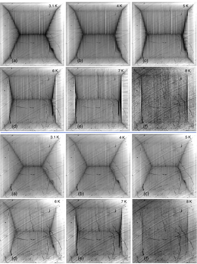 FIG. 7. Temperature variations of anisotropic critical states for transversely polarized strips at smaller field H fill , when vortices first fill the entire sample (top set: H fill decreases from 55 Oe to 5 Oe with increasing T from 3.1 K to 8 K) and at l
