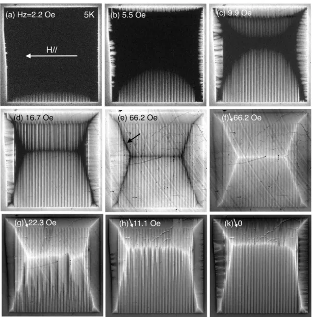 FIG. 4. Successive images of the normal flux entry and exit upon increasing (a–e) and decreasing (f–k) perpendicular field H z at T = 5 K in the sample with transversely polarized stripes