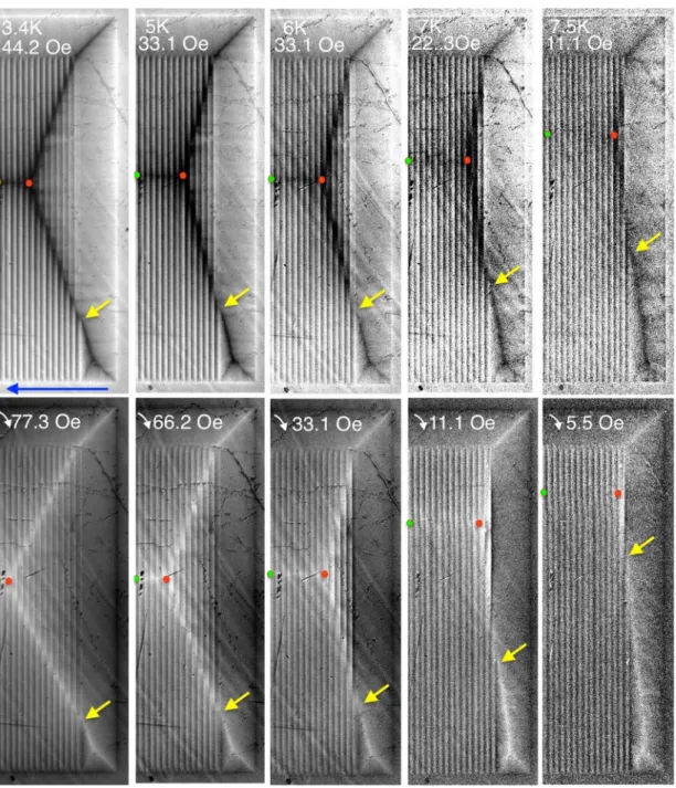 FIG. 6. Position of the SCT lines near the right sample side at different temperatures with increasing (top row) and decreasing (bottom row) normal fields, H z 