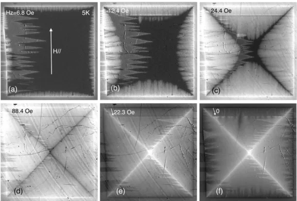 FIG. 8. Vortex entry and exit in the sample with longitudinally polarized stripes at T = 5 K