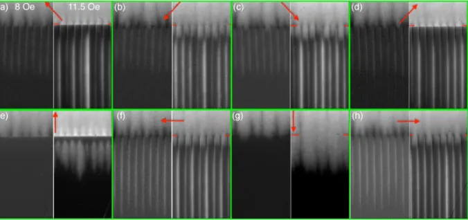 FIG. 9. Normal flux entry at different polarizations of the Py stripes. Top row (a–d) shows images for four diagonal in-plane fields, and bottom row (e–h) illustrates two horizontal and two vertical polarizations indicated by red arrows