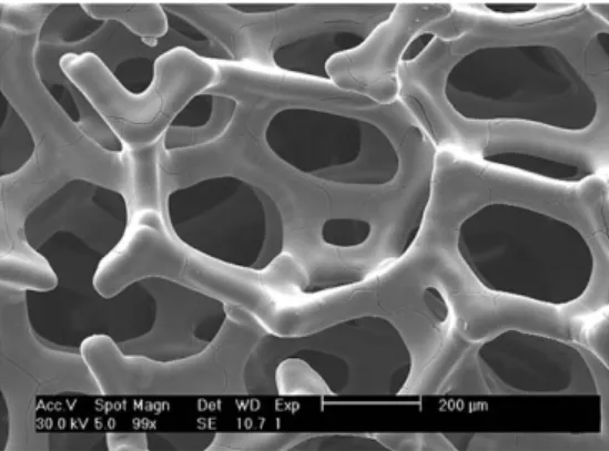 Fig. 20 SEM images of the electrodeposited V 2 O 5 cathodes. The scale bars indicate 50 m m.