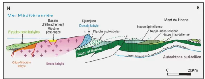 Fig. I.3.  Rapports   structuraux   entre   les   différentes   unités   de   la   chaîne   des    Maghrébides (modifiés d’après Durand-Delga, 1969, les Bibans et les Babors qui 