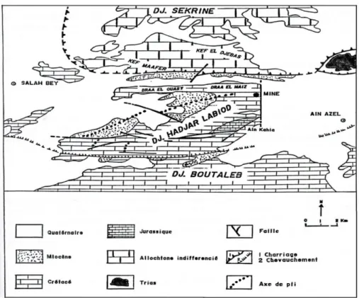 Fig. I.10. Schéma structural de la région d’Aïn-Azel  (D’après la carte  géologique au 1/50000) 