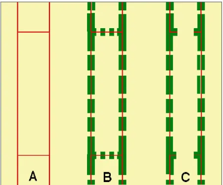 Figure .02. Schéma très théorique de la différenciation  d'un élément du bois. 