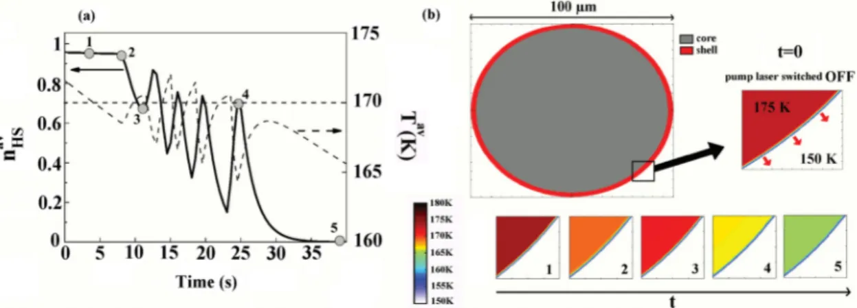 FIG. 5. (Color online) Theoretical evolution (a) of the averaged HS fraction, n av HS (t), and averaged temperature of the particle shell thickness vs time after the CW laser excitation has been switched off at t = 0