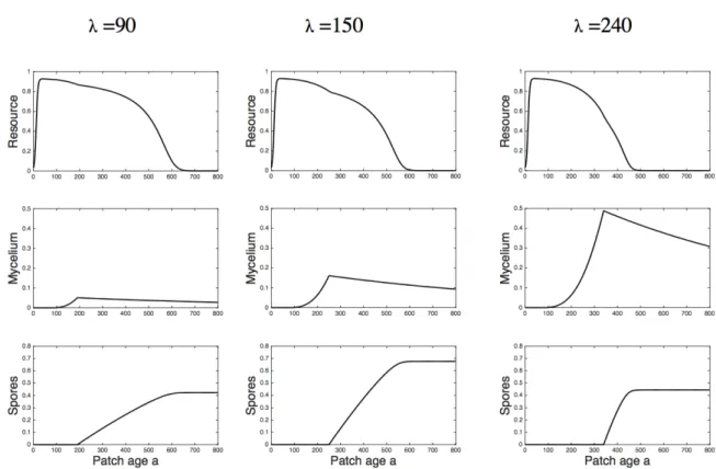 Figure  5 :  The  effect  of  latent  period  on  within  patch  dynamics  of  resource  R,  mycelium  M  and  cumulative  spores production S, for different latent periods (λ =90, λ =150, λ =240, respectively)