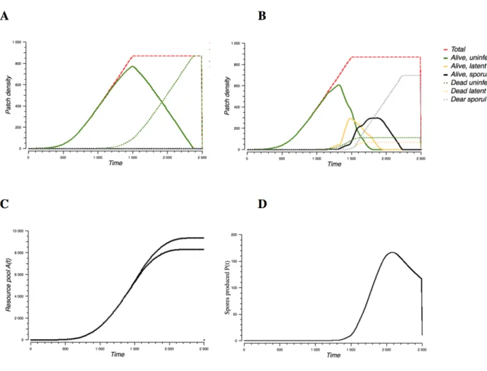 Figure  9A  shows  the  overall  patch  dynamics  of  a  healthy  canopy.  Note  that  healthy  canopy  dynamics  are  highly  constraint  by  our  assumptions  and  parameter  values