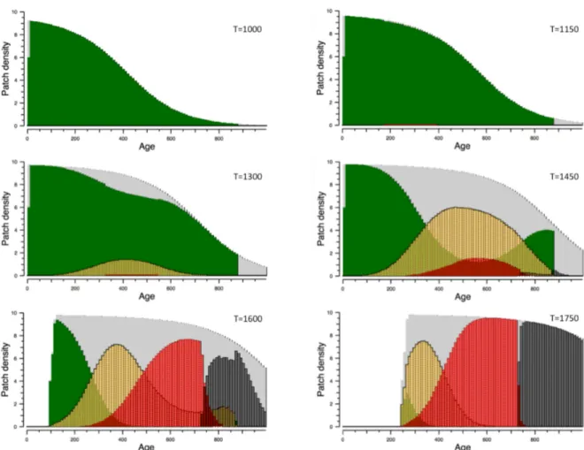 Figure 10. The dynamics of the infection-specific age-structure of the canopy, illustrated by snapshots at 150dd  intervals, for the run in Figure 9B (λ =150,  T inoc  =1000dd)