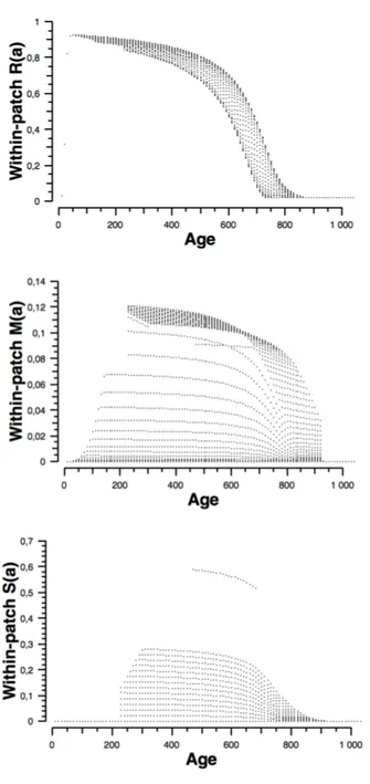 Figure 12: Scatter plots of the patch-level variables R(a),  M(a) and S(a) versus patch age a (T=1450 dd)