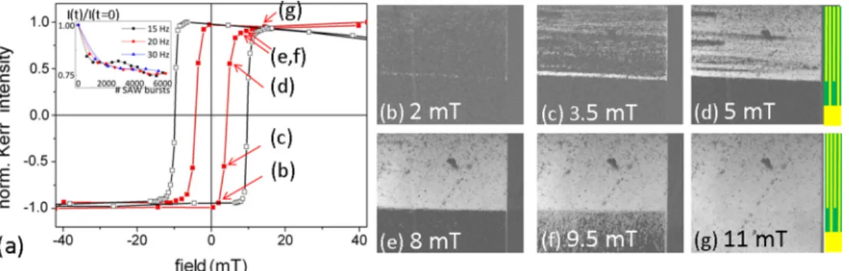 FIG. 2. SAW-assisted reversal at P 0 = 8.9 W/mm (T = 30 K): (a) Hysteresis cycles averaged in front of the SAW emitter, with and without SAW