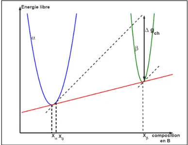 Fig. 1.1. Diagramme d’énergie libre dans un alliage binaire A-B présentant une lacune  de miscibilité [1]